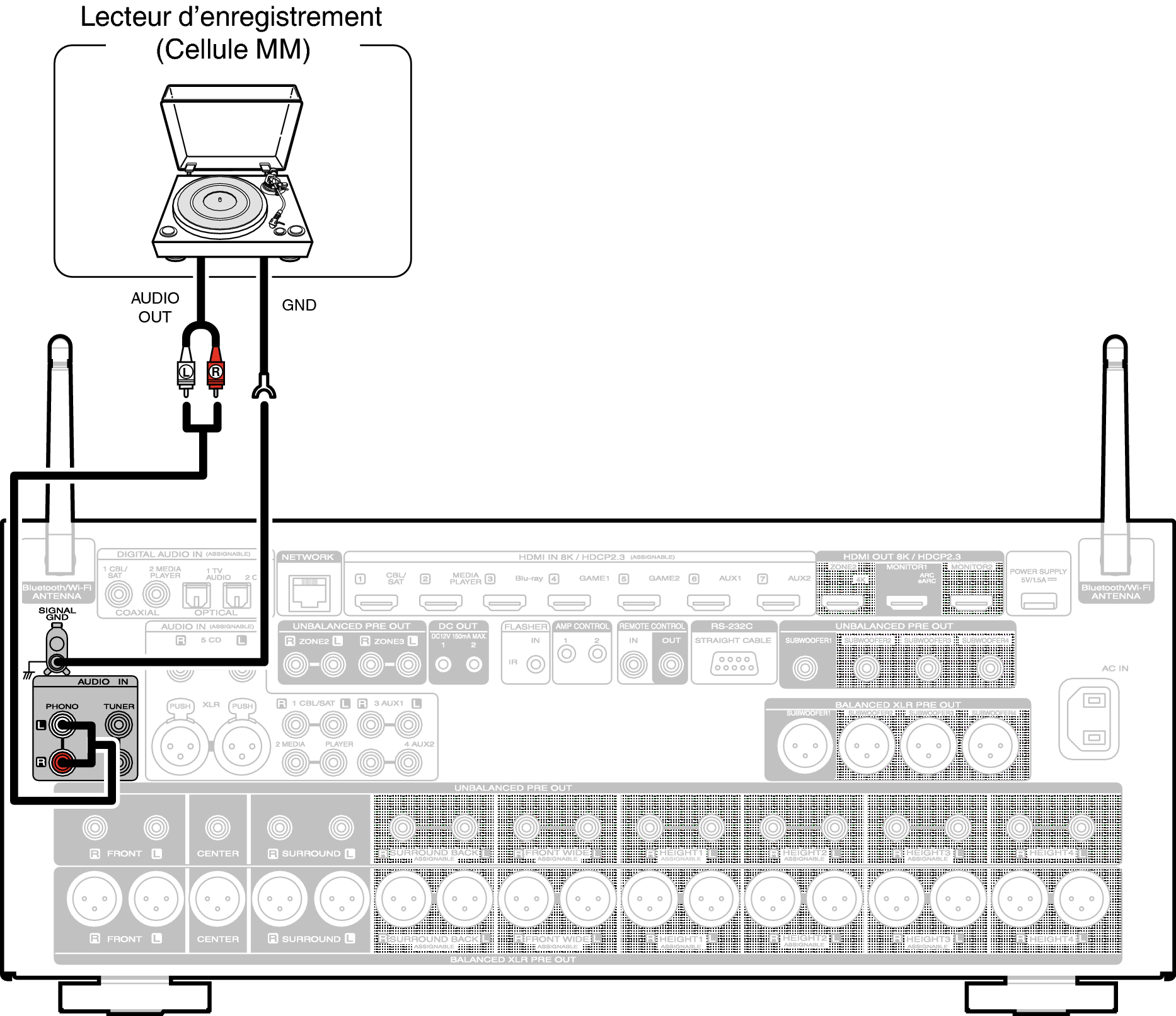 Conne PHONO AV10N